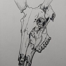 Tenebris. Un proyecto de Ilustración tradicional de Kayleigh H. - 06.07.2021