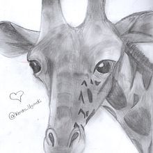 JIRAFA(≧∇≦)ﾉ. Un proyecto de Dibujo a lápiz de kendra chalco - 06.07.2021