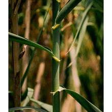 My project in Lifestyle and Travel Photography course. Photograph, Outdoor Photograph, Lifest, and le Photograph project by Nikiforos Ntembos - 06.29.2021