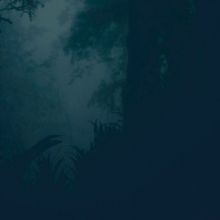 Abris de nuit. Photograph project by Claire Va - 07.07.2021