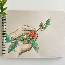 My project in Creative Drawing Techniques for Beginners course. Design, Traditional illustration, Pencil Drawing, and Drawing project by Marcela Castaño - 06.13.2021