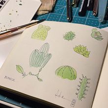 My project in Botanical Sketchbooking: A Meditative Approach course. Traditional illustration, Sketching, Drawing, Watercolor Painting, Botanical Illustration, and Sketchbook project by McKenzie Rose - 07.08.2021