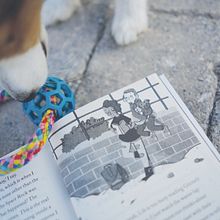 What's that in dog years?. Traditional illustration, Character Design, Lettering, Children's Illustration, H, and Lettering project by Julia Christians - 07.04.2019