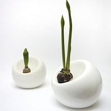 Bulb planter. Product Design, Industrial Design, and Ceramics project by Marre Moerel - 07.08.2021