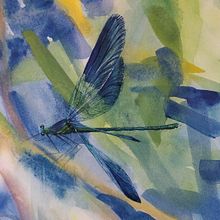 My project in Naturalist Illustrations with Watercolors: Drawing and Composition course. Projekt z dziedziny Trad, c, jna ilustracja,  R, sunek, Malowanie akwarelą, Ilustracja naturalist i czna użytkownika Zuzana Zachová - 08.07.2021
