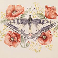 My project in Naturalist Illustrations with Watercolors: Drawing and Composition course. Projekt z dziedziny Trad, c, jna ilustracja,  R, sunek, Malowanie akwarelą, Ilustracja naturalist i czna użytkownika nico_2021 - 08.07.2021