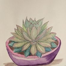 Succulentlove part 2. Un proyecto de Ilustración tradicional de Katja Wetzel - 09.07.2021