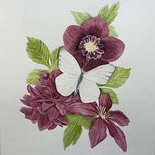 My project in Naturalist Illustrations with Watercolors: Drawing and Composition course. Un projet de Illustration traditionnelle, Dessin, Aquarelle et Illustration naturaliste de Diana Poell - 09.07.2021