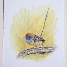 My project in Naturalist Bird Illustration with Watercolors course. Un proyecto de Ilustración tradicional, Pintura a la acuarela, Dibujo realista e Ilustración naturalista				 de Erica Siegel - 11.07.2021