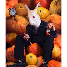 Las maravillas de Alicia.. Commercial Photograph, Fashion Photograph, Character Design, Photo Retouching, Fine-Art Photograph, and Photomontage project by Patricia Montes - 07.11.2021