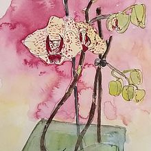 My project in Botanical Sketchbooking: A Meditative Approach course. Un proyecto de Ilustración tradicional, Bocetado, Dibujo, Pintura a la acuarela, Ilustración botánica y Sketchbook de Sophie Chambon - 11.07.2021
