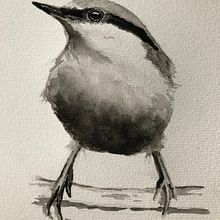 My project in Artistic Watercolor Techniques for Illustrating Birds course. Traditional illustration, Watercolor Painting, Realistic Drawing, and Naturalistic Illustration project by Dolores van Arkel - 07.11.2021