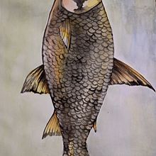 Peces. Traditional illustration project by Paula FERREYRA - 07.10.2021