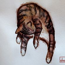 My cats. Traditional illustration project by Emily - 07.12.2021