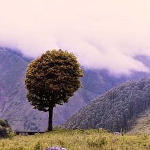 paisaje. Un proyecto de Fotografía, Retoque fotográfico, Fotografía digital, Composición fotográfica y Teoría del color de Gabriel Vargas - 09.07.2021