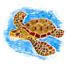 Viva a vida marinha!. Traditional illustration, Drawing, Watercolor Painting, and Naturalistic Illustration project by Marcela Corrêa Müller - 07.12.2021