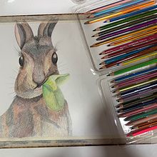 Mi Proyecto Final: Técnicas experimentales de acuarela para principiantes . Un proyecto de Ilustración tradicional, Bellas Artes, Pintura a la acuarela e Ilustración naturalista				 de JOHANNA ZARATE HERNÁNDEZ - 11.07.2021
