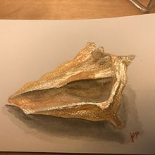 Watercolor conch shell. Fine Arts project by Jen Pack - 01.22.2019
