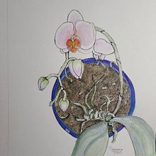 My project in Botanical Sketchbooking: A Meditative Approach course Orchid. Un proyecto de Ilustración botánica de Suzanne McGregor - 11.07.2021
