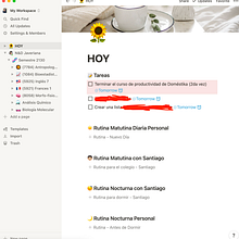 Mi Proyecto del curso: Técnicas para mejorar tu productividad - Brizza Almendarez. Un progetto di Consulenza creativa, Gestione progetti di design e Marketing di Brizza - 12.07.2021
