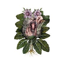 Manual de Jardinería Humana. Un projet de Illustration traditionnelle, Sérigraphie et Illustration à l'encre de Cristiano Gabrielli - 13.07.2021