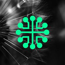 Wild area networks . Design, Graphic Design, Br, ing & Identit project by bhuvan099 - 07.13.2021