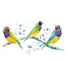 Mi Proyecto del curso: Acuarela artística para ilustración de aves. Un proyecto de Ilustración tradicional, Pintura a la acuarela, Dibujo realista e Ilustración naturalista				 de drakaris_sonia - 13.07.2021