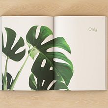 Only Design Studio Promotional book design. Un proyecto de Diseño gráfico y Diseño editorial de Chantelle Van Staden - 13.07.2021