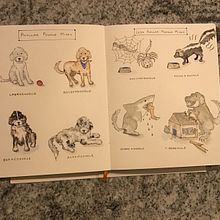 My project in The Art of Sketching: Transform Your Doodles into Art course. Traditional illustration, Pencil Drawing, Drawing, and Sketchbook project by Mary Giedraitis - 07.14.2021