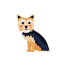 Ilustraciones / Amigos Animales. Traditional illustration, Character Design, Graphic Design, Vector Illustration, Digital Illustration, and Children's Illustration project by Nati Sanchez - 07.14.2021