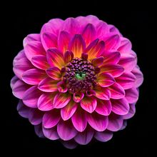 My project in Professional Photography: Managing Your Freelance Career course. Photograph, Creative Consulting, and Design Management project by Sandra Jordan - 07.14.2021