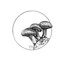 Floral. Ilustração tradicional, Desenho, e Desenho digital projeto de andrearope - 14.07.2021
