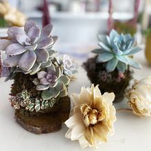 Mi Proyecto del curso: Kokedamas: crea macetas naturales de musgo. Arts, Crafts, Interior Design, L, scape Architecture, Decoration, DIY, Floral, and Plant Design project by Norma Ferreira - 07.11.2021