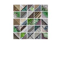 Lotus Borders. Un proyecto de Fotografía de k_karpel - 15.07.2021