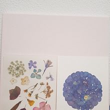 Meu projeto do curso: Técnicas básicas para prensar flores e plantas. Een project van Craft,  Beeldende kunst, Collage y DIY van Maria Luiza Azevedo - 15.07.2021