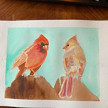My project in Artistic Watercolor Techniques for Illustrating Birds course. Traditional illustration, Watercolor Painting, Realistic Drawing, and Naturalistic Illustration project by nordmed711 - 07.16.2021