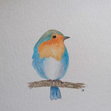 My project in Artistic Watercolor Techniques for Illustrating Birds course. Traditional illustration, Watercolor Painting, Realistic Drawing, and Naturalistic Illustration project by sol_torresfry - 07.12.2021