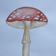 Hongo . Ilustrasi tradisional proyek oleh Graciela Borsarelli - 07.16.2021