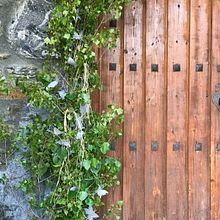 Ceremonia religiosa M&A. Een project van  Ontwerp van Marta Ardanuy Fortuny - 17.07.2021