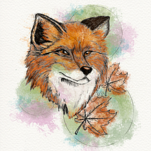 Raposa. Traditional illustration, Creativit, Drawing, Digital Illustration, Digital Drawing, and Digital Painting project by Maria Fernanda Fraga Palazi - 07.16.2021