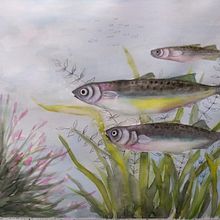 Mi Proyecto del curso: Ilustración de universos marinos en acuarela. Projekt z dziedziny Trad, c, jna ilustracja,  Malarstwo, Malowanie akwarelą, Ilustracja naturalist i czna użytkownika Silvia Liliana Garavagno - 18.07.2021