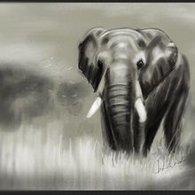 Elephant. Digital Illustration, and Drawing project by silversong - 07.18.2021