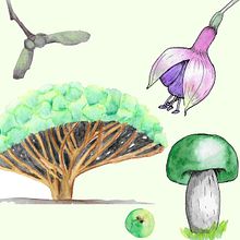 My project in Botanical Watercolor Sketchbook course. Traditional illustration, Watercolor Painting, Botanical Illustration, and Sketchbook project by cathalijn - 07.18.2021