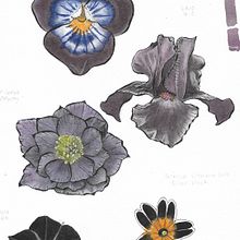 Mi Proyecto del curso: Acuarela botánica para estampados. Traditional illustration, Pattern Design, Watercolor Painting, and Botanical Illustration project by Lily Portius Yáñez - 07.19.2021