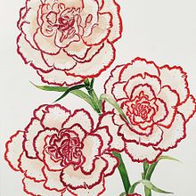Watercolor project : Flowers . % YJ tarafından hazırlanan Sulubo, a Resim, Geleneksel illüstras, Ve on projesi - 07.16.2021