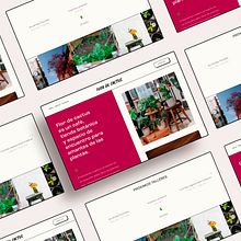 Página web Flor de cactus. Web Design, Web Development, Graphic Design, and Creative Consulting project by estudiochinampa - 07.19.2021
