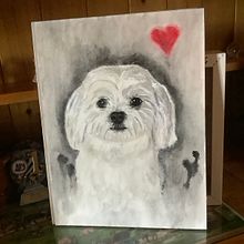 Kleiner Hund, Aquarell. Traditional illustration, and Painting project by Therese Keller - 07.19.2021