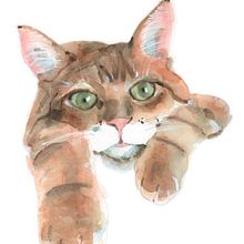 Acuarela y grafito acuarelable. Un projet de Illustration traditionnelle, Aquarelle , et Dessin de Maria Victoria Comas - 19.07.2021