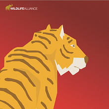 Animal Campaign for Wildlife Alliance. Projekt z dziedziny Projektowanie graficzne, Trad, c i jna ilustracja użytkownika Serina Togawa - 18.07.2021