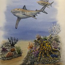 My project in Marine Universe Illustration in Watercolor course. Traditional illustration, Painting, Watercolor Painting, and Naturalistic Illustration project by John Keselyak - 07.10.2021